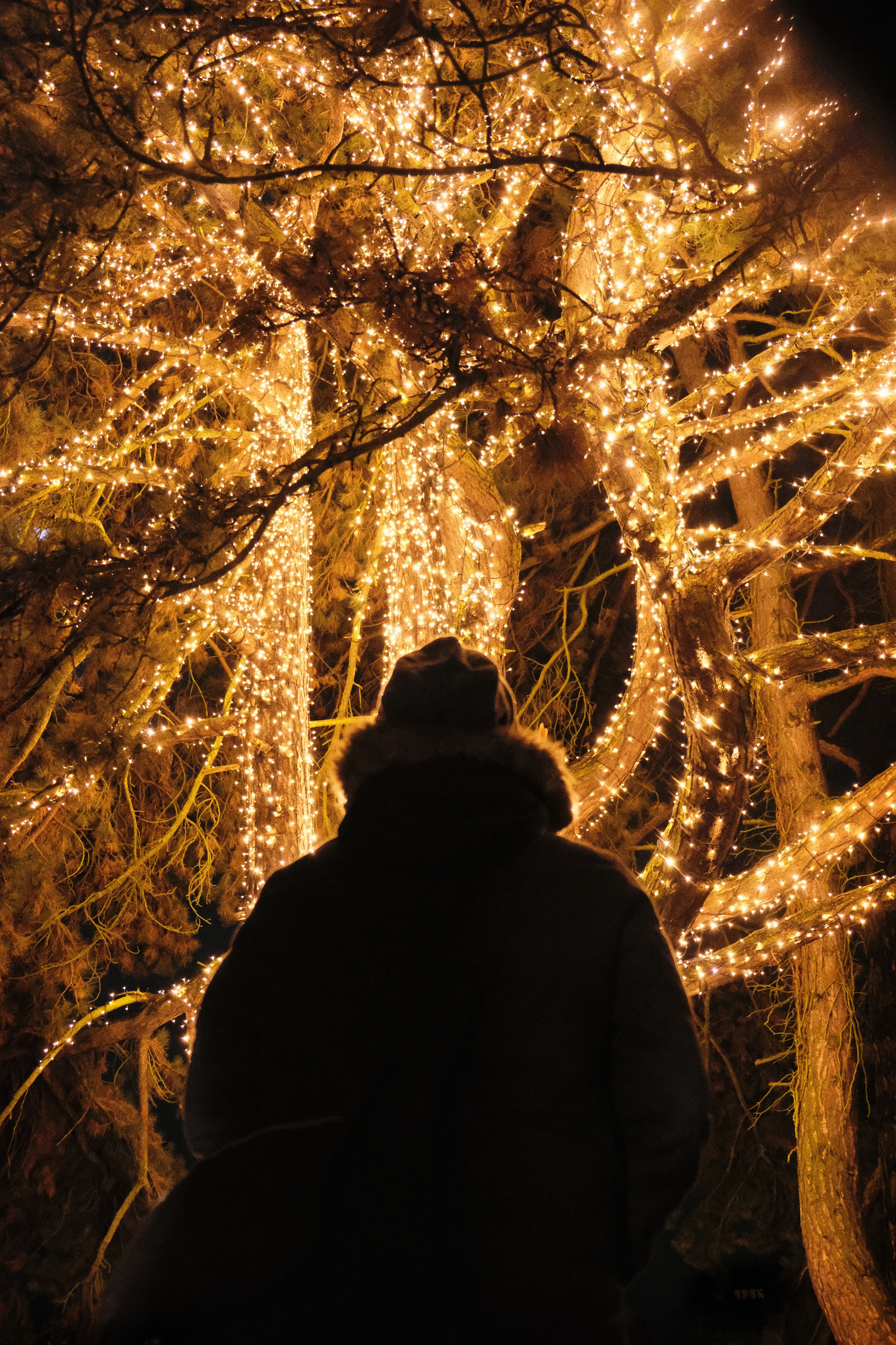 Lichtfestivals 
